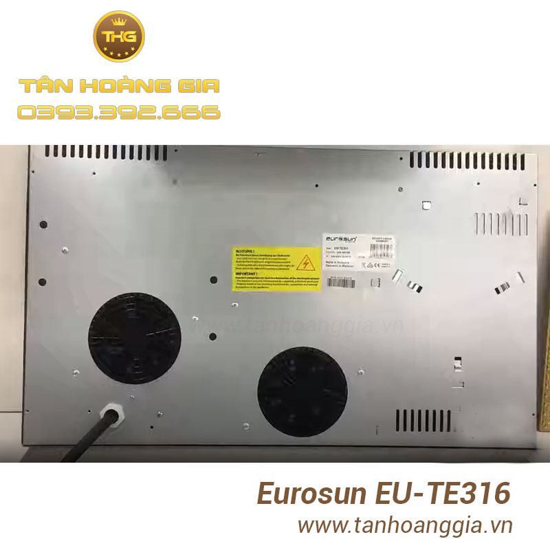 Bụng bếp và quạt tản nhiệt bếp điện từ Eurosun EU-TE316