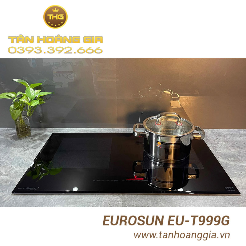 Bếp từ Eurosun EU-T999G sang trọng
