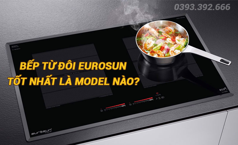 Bếp từ đôi Eurosun tốt nhất là model nào?
