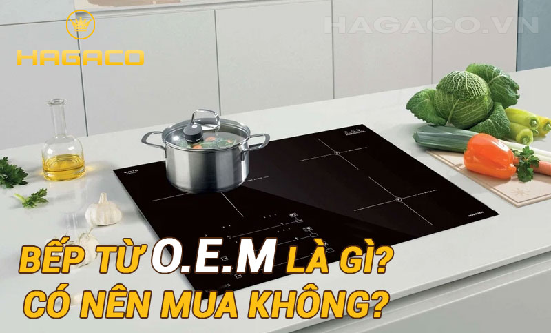 Bếp từ O.E.M là gì? Có nên mua không?