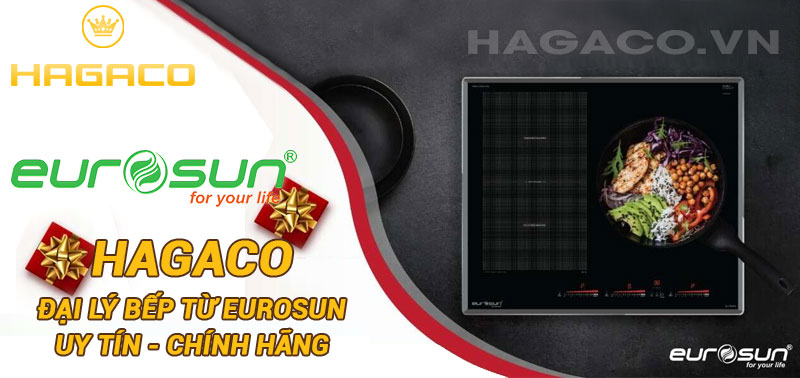 hagaco - Đại lý bếp từ Eurosun tại Hà Nội